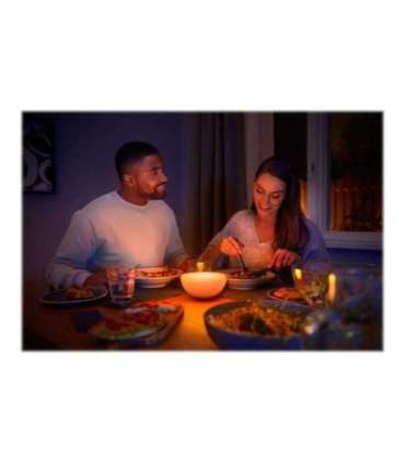 Philips Hue|Hue Go Portable Light|6 W|White and color ambiance|Zigbee