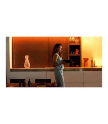 Philips Hue|Lightstrip Plus V4|Hue|11.5 W|White and color ambiance
