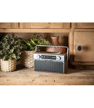 Camry Bluetooth Radio CR 1183 16 W AUX in Wooden