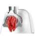 Bosch Meat mincer MFW2515W White 1500 W Number of speeds 1 Throughput (kg/min) 1.7