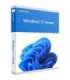 Microsoft Windows 11 Home KW9-00632 English OEM 64-bit
