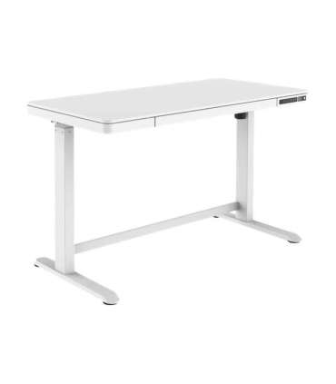 Electric Height Adjustable Desk 72 - 121 cm Maximum load weight 50 kg Metal White