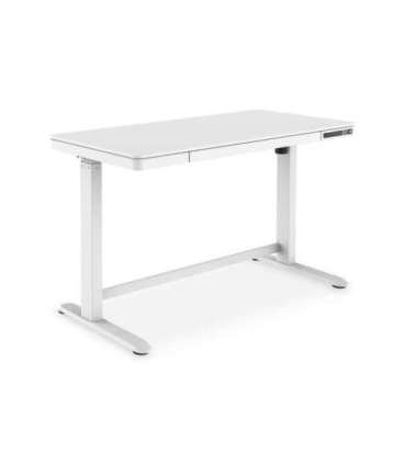 Electric Height Adjustable Desk 72 - 121 cm Maximum load weight 50 kg Metal White