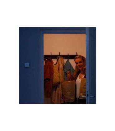 WiZ Wireless Motion Sensor White