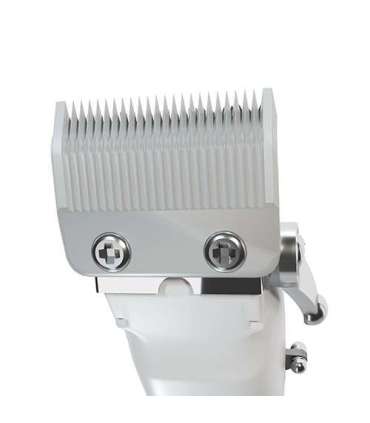 Adler Proffesional Hair clipper AD 2831 Cordless or corded Number of length steps 6 Silver