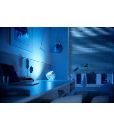 Philips Hue|Hue Iris Portable Lamp, Silver Special Edition|Silver|Portable lamp