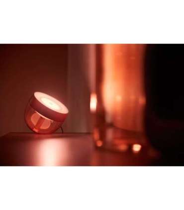 Philips Hue|Hue Iris Portable Lamp, Copper Special Edition|Copper/brass|Portable lamp