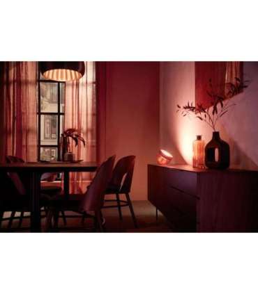 Philips Hue|Hue Iris Portable Lamp, Copper Special Edition|Copper/brass|Portable lamp