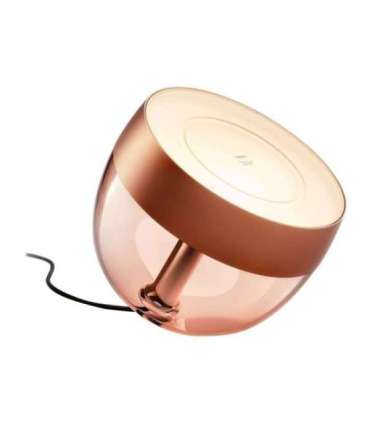 Philips Hue|Hue Iris Portable Lamp, Copper Special Edition|Copper/brass|Portable lamp