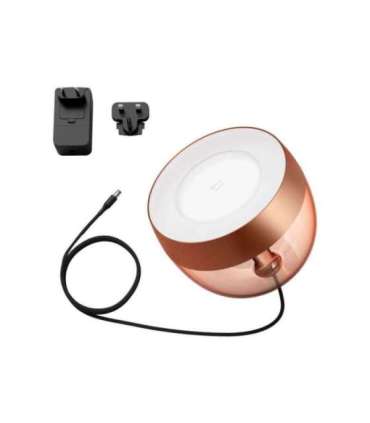 Philips Hue|Hue Iris Portable Lamp, Copper Special Edition|Copper/brass|Portable lamp