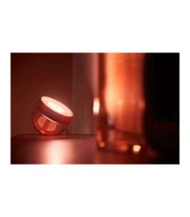 Philips Hue|Hue Iris Portable Lamp, Copper Special Edition|Copper/brass|Portable lamp