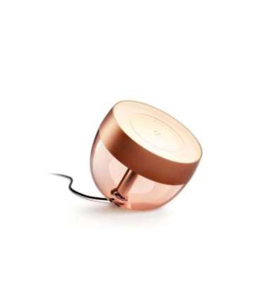 Philips Hue|Hue Iris Portable Lamp, Copper Special Edition|Copper/brass|Portable lamp