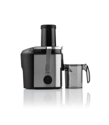 ETA Juicer Fresher II ETA503290000 Type Centrifugal Silver/Black 800 W Number of speeds 2 19000 RPM