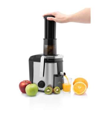 ETA Juicer Fresher II ETA503290000 Type Centrifugal Silver/Black 800 W Number of speeds 2 19000 RPM