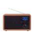 Adler Radio DAB+ Bluetooth AD 1184 Alarm function Black/Brown
