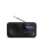 Sharp DR-P420(BK) Tokyo Portable Digital Radio, FM/DAB/DAB+, Bluetooth 5.0, USB or Battery Powered, Midnight Black |