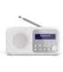 Sharp DR-P420(WH) Tokyo Portable Digital Radio, FM/DAB/DAB+, Bluetooth 5.0, USB or Battery Powered, Snowy White Sharp
