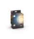 Hue WA 7W Filament G93 globe E27 E27 7 W Warm to cool white 2200-4500K Bluetooth and Zigbee
