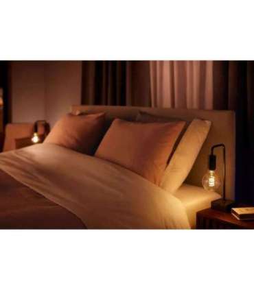 Hue WA 7W Filament G93 globe E27 E27 7 W Warm to cool white 2200-4500K Bluetooth and Zigbee