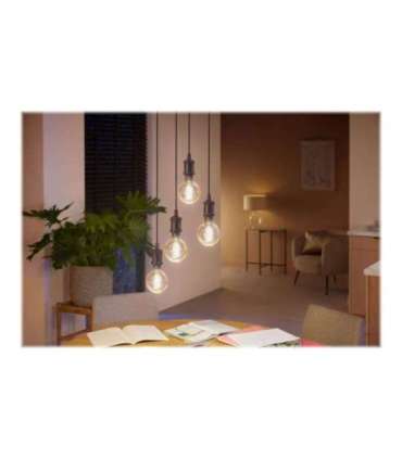 Hue WA 7W Filament G93 globe E27 E27 7 W Warm to cool white 2200-4500K Bluetooth and Zigbee