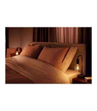 Hue WA 7W Filament G93 globe E27 E27 7 W Warm to cool white 2200-4500K Bluetooth and Zigbee