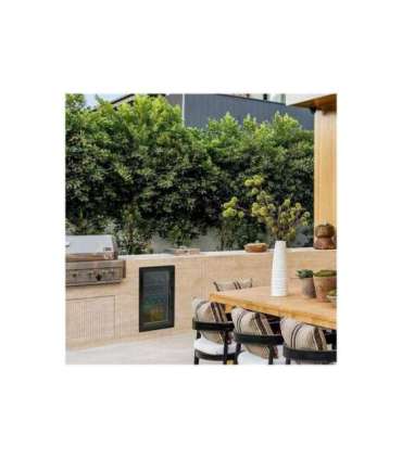 Caso Barbecue Cooler S-L Energy efficiency class F Free standing Black