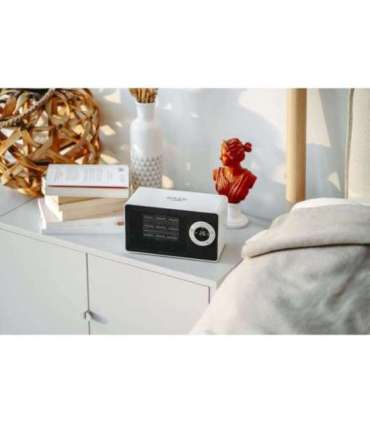 Adler AD 7746 Ceramic fan heater 1000 W Number of power levels 2 White