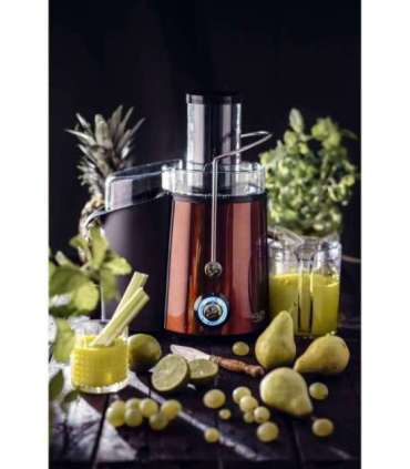 Adler Juicer AD 4129 Type Juicer maker Copper 1000 W Number of speeds 2