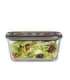 Caso Glass Vacuum Container with Plastic Lid VacuBoxx Eco L Transparent