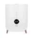 Adler AD 7972 Humidifier 23 W Water tank capacity 4 L Suitable for rooms up to 35 m² Ultrasonic |