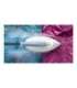Philips Steam Generator PerfectCare PSG6026/20 2400 W 1.8 L 6.5 bar Auto power off Vertical steam function
