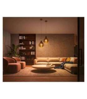 WA Starter Kit 11W A60 E27 3pcs, Bridge, Switch E27 11 W Warm to cool white 2200-6500K + 16 million colors |