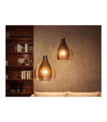 WA Starter Kit 11W A60 E27 3pcs, Bridge, Switch E27 11 W Warm to cool white 2200-6500K + 16 million colors |