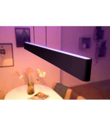 Philips Hue Ensis pendant black 79W 24V 79 W White and Colour Ambiance 2000-6500K