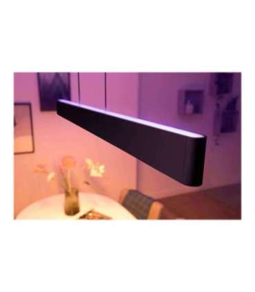 Philips Hue Ensis pendant black 79W 24V 79 W White and Colour Ambiance 2000-6500K