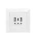 Digitus Socket with USB A & USB-C Ports, flush mounted