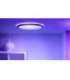 WiZ Smart WiFi SuperSlim Ceiling 545mm, Black 32 W 2200-6500 K (RGB)