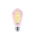 Philips Smart WiFi Filament Clear ST64 RGB E27 6.3 W Full colour