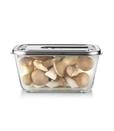 Caso Glass Vacuum Container with Plastic Lid VacuBoxx Inox XL Transparent