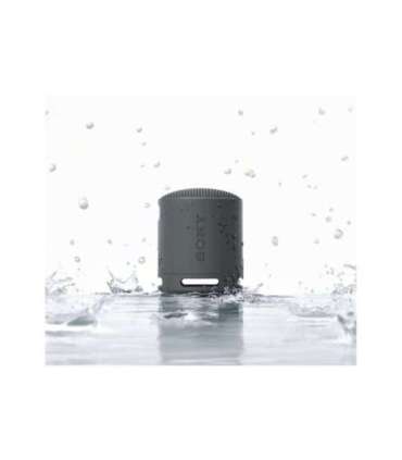 Sony Speaker SRS-XB100 Waterproof Bluetooth Black Portable Wireless connection