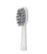 Adler 2-in-1 Water Flossing Sonic Brush AD 2180w Rechargeable For adults Number of brush heads included 2 |