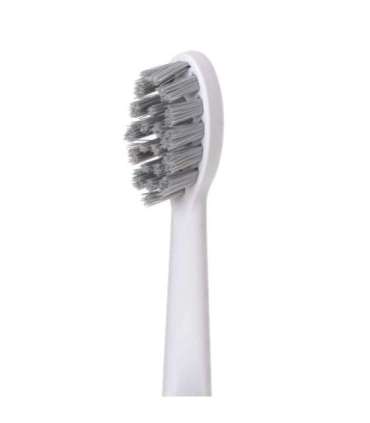 Adler 2-in-1 Water Flossing Sonic Brush AD 2180w Rechargeable For adults Number of brush heads included 2 |