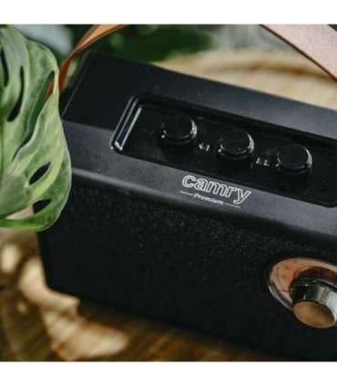 Camry Speaker with radio CR 1902 B 5 W Bluetooth Black Wireless connection