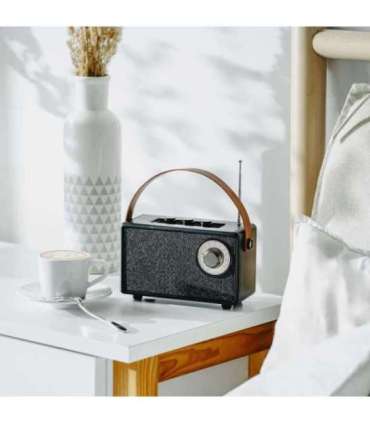 Camry Speaker with radio CR 1902 B 5 W Bluetooth Black Wireless connection