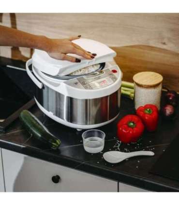 Adler Multicooker 6 in 1 AD 6420 700 W 3.25 L Number of programs 6