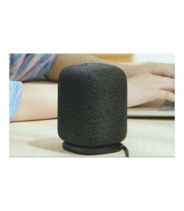 Sony Speaker SRS-LS1 LinkBuds Waterproof Bluetooth Black Portable Wireless connection