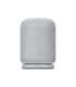 Sony Speaker SRS-LS1 LinkBuds Waterproof Bluetooth Light Gray Portable Wireless connection