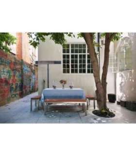 TunaBone Electric Standing Patio Heater, Single carbon golden tube TB2580ST-01 Patio heater 2500 W Black