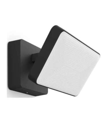 Philips Hue WCA Discover Outdoor Floodlight 2000-6500 Hue White Colour Ambiance