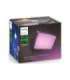 Philips Hue WCA Discover Outdoor Floodlight 2000-6500 Hue White Colour Ambiance